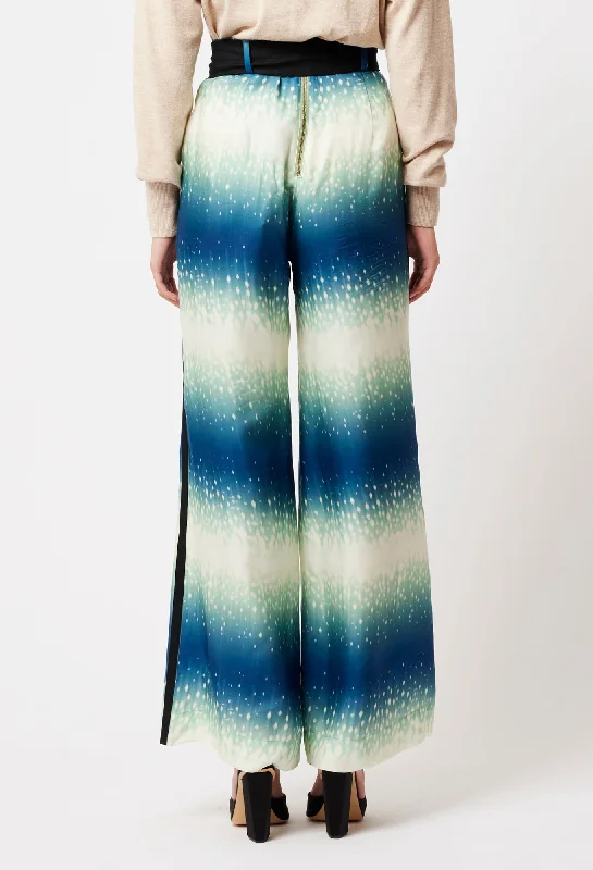 Grace Cupro Viscose Pants in Galaxy Print